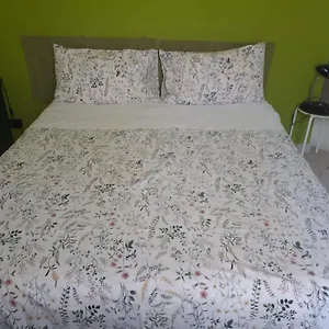 Tra Gianicolo E Trastevere Bed & Breakfast Roma